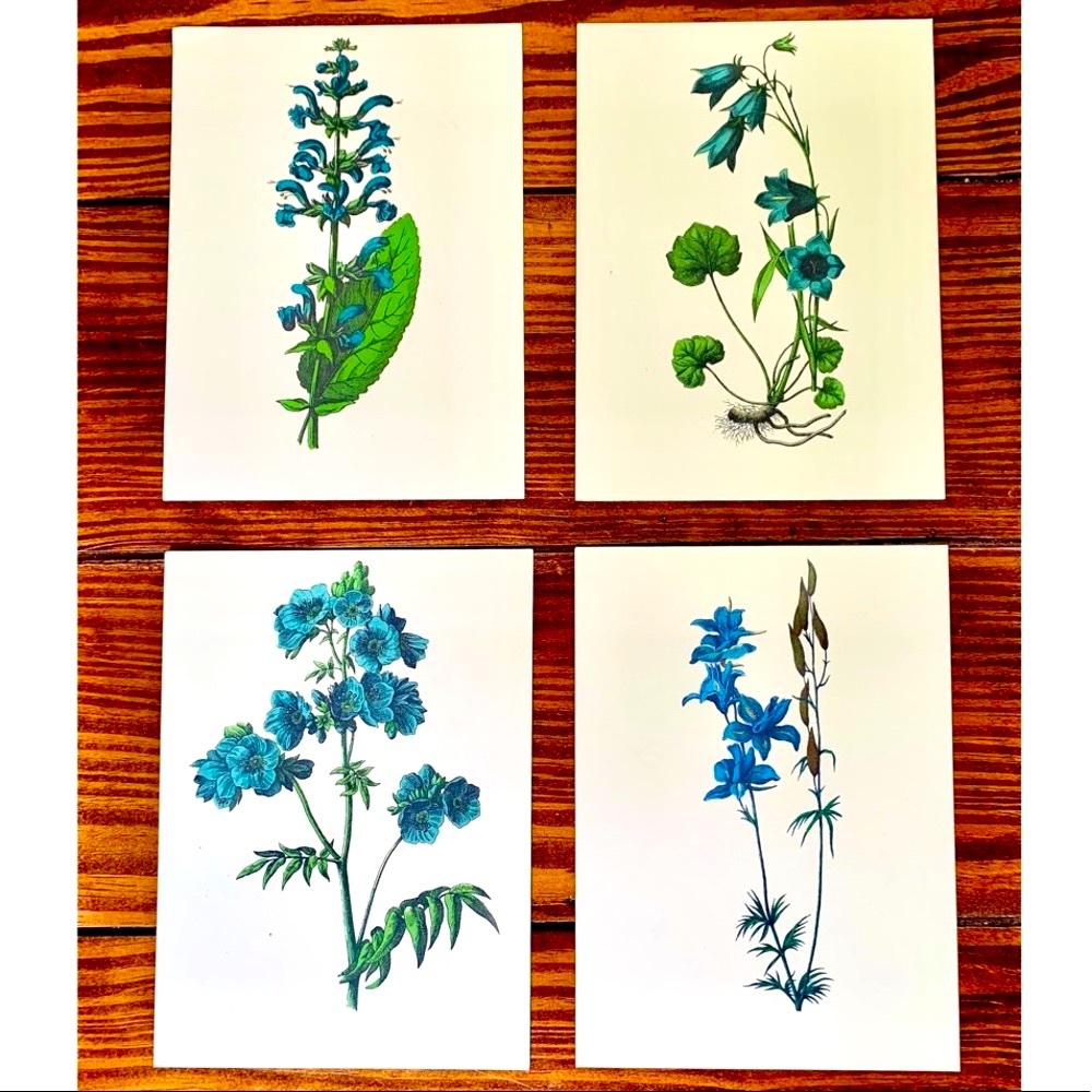 Four Vintage Floral Botanical Prints (5.5x7.5)